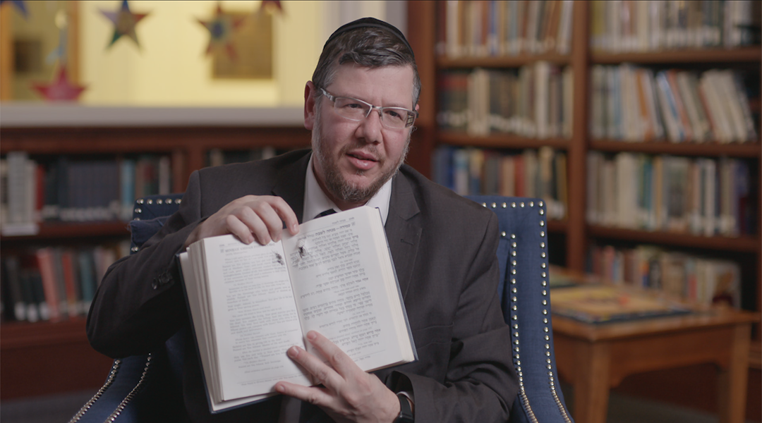 Rabbi Elisar Admon
